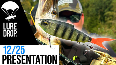 Unboxing LURE DROP 12 | 2025 France